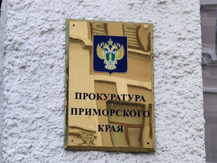 В Приморье накажут виновных в падении детской горки на ребенка