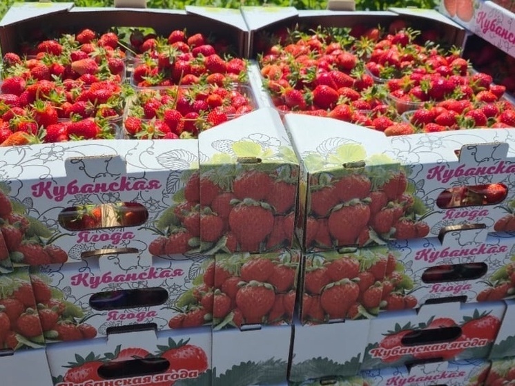 Татьяна Очкаласова: Девиз "Своих не бросаем" актуален для нас всегда