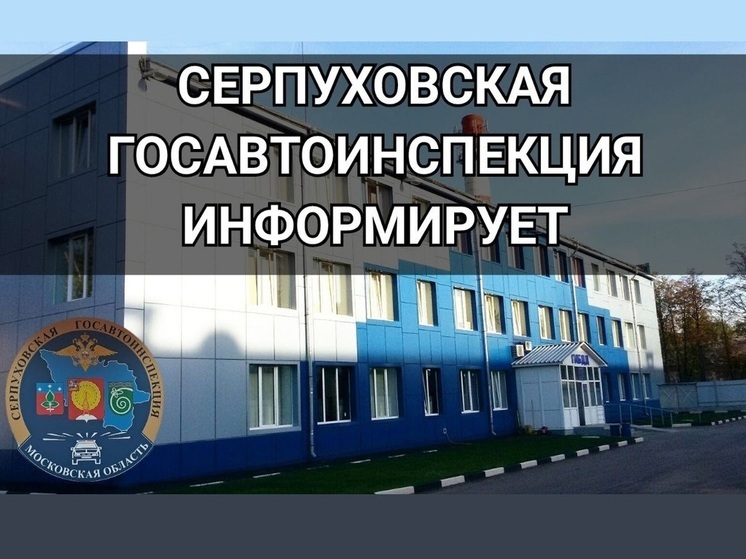 Серпуховичей предупредили о последствиях коррупционных действий в дорожной ситуации
