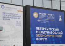 Синтез традиционных и альтернативных источников энергии на сегодняшний день является оптимальным решением для развития глобального энергетического сектора, заявил в своем докладе Игорь Сечин на Энергетической панели в рамках XXVIII Петербургского международного экономического форума