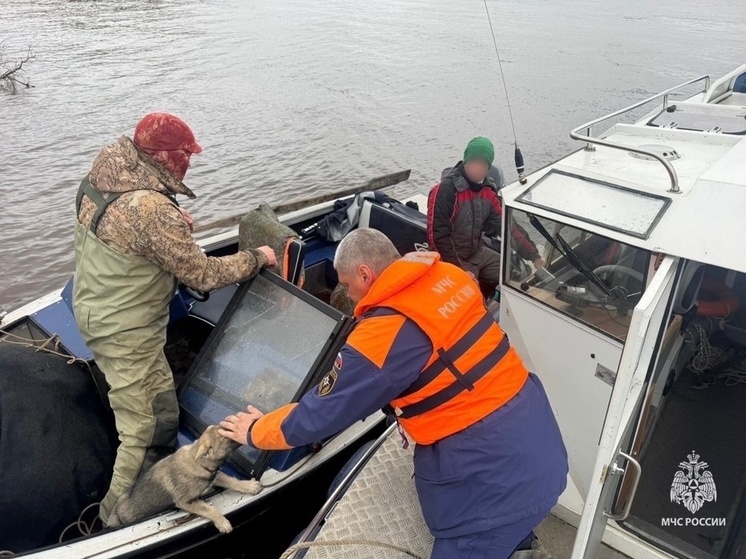 Спасатели МЧС России эвакуировали жителей Нарьян-Мара