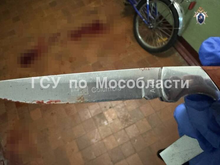 Житель Домодедово пытался зарезать знакомого на почве ревности