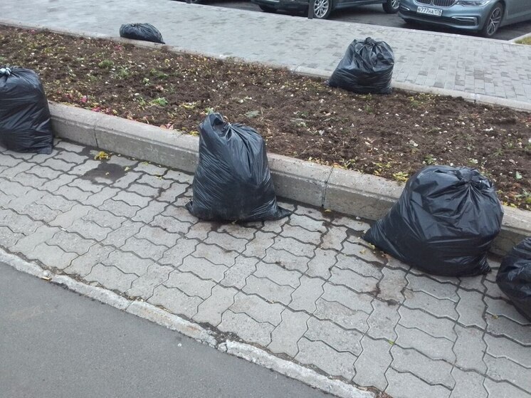Калининградцы провели уборку на Правдинском водохранилище