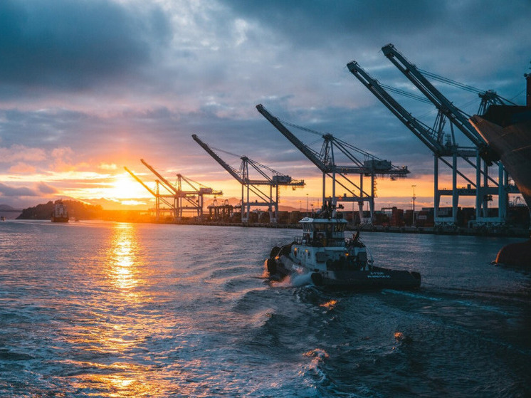 Увеличение добычи нефти ОПЕК+ на ПМЭФ сочли правильным решением