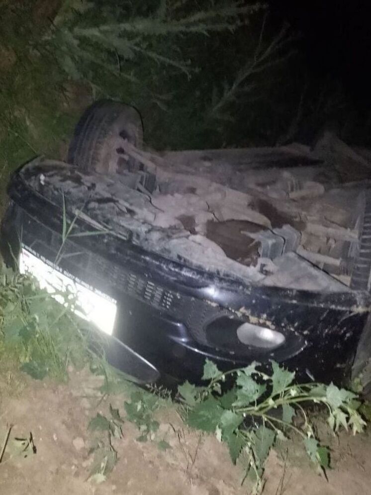 В Херсонской области в ДТП пострадал водитель и два пассажира