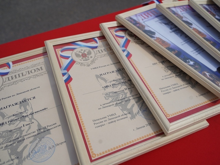 В Липецке назвали победителей первенства среди кинологов