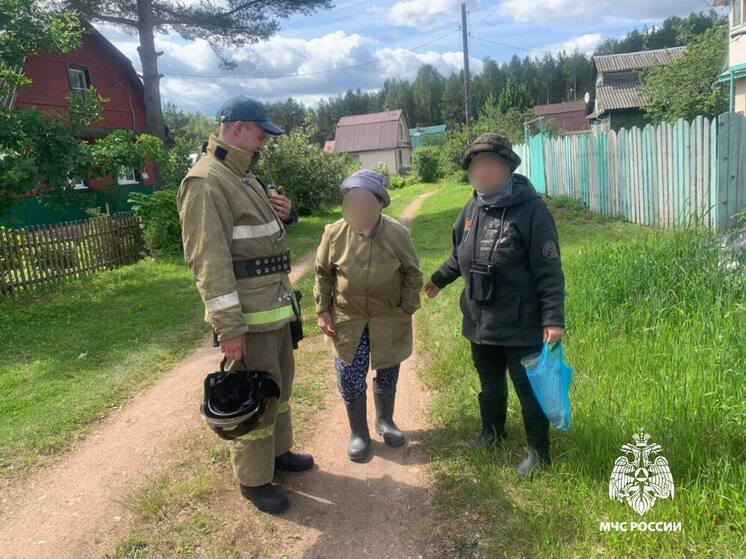 В Тверской области спасатели и волонтеры нашли заблудившуюся в лесу женщину