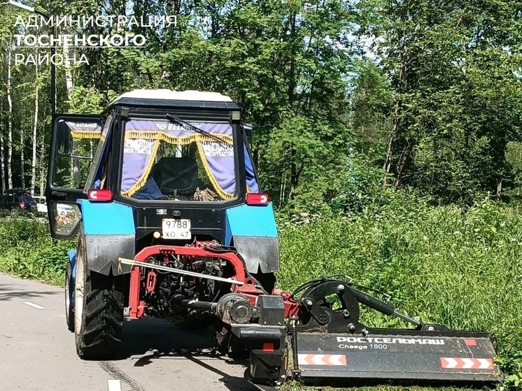 В Тосно провели покос травы и борщевика