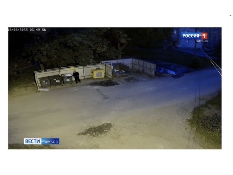 Поджог мусорного контейнера в Тамбове зафиксирован на видео