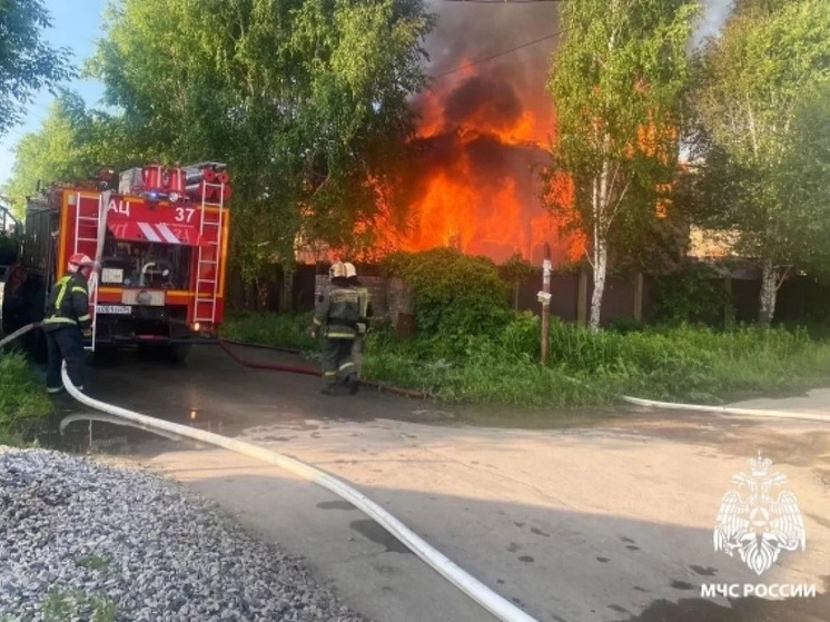 Несколько человек погибли в пожарах в Новосибирской области за сутки
