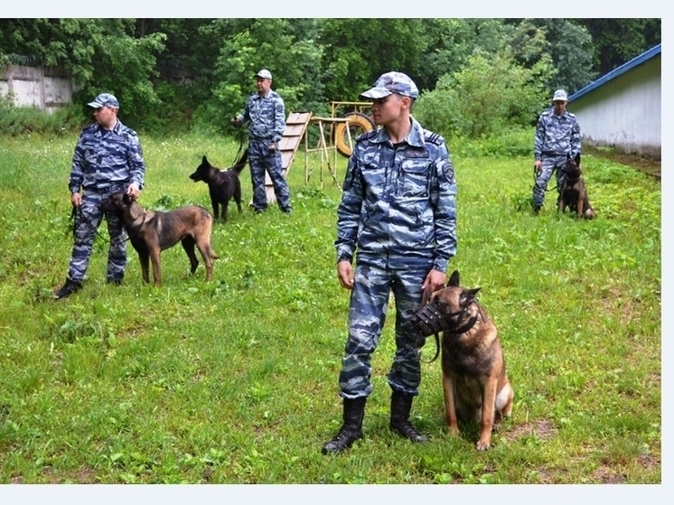 В Перми прошли соревнования кинологов и полицейских собак
