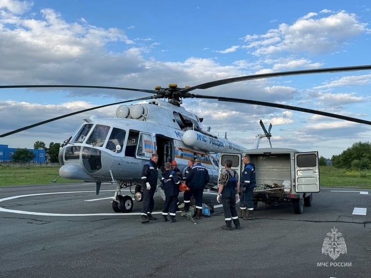 В округе Приморья линии электропередач починят энергетики, прибывшие с авиацией МЧС
