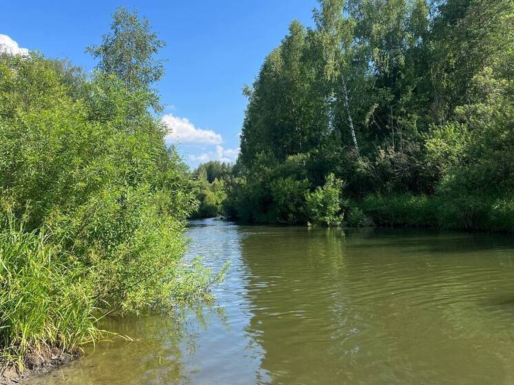 Томская прокуратура разбирается в обстоятельствах гибели подростка в реке