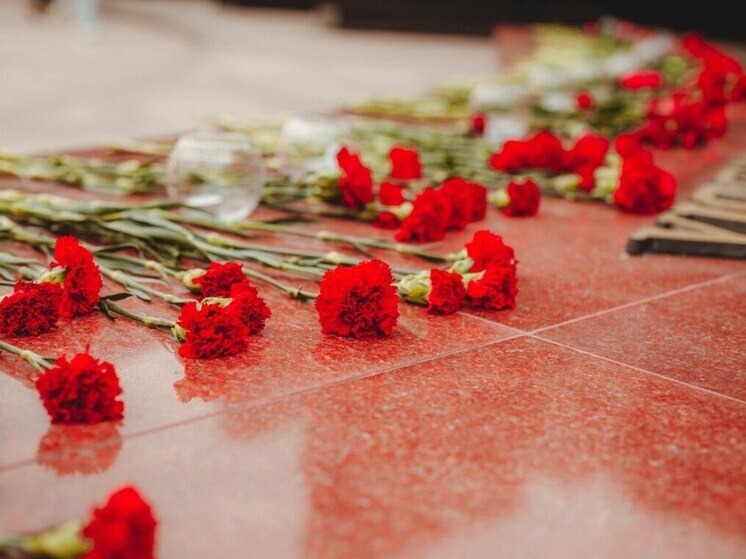 Приморскую реконструкцию битвы под Москвой покажут в прямом эфире