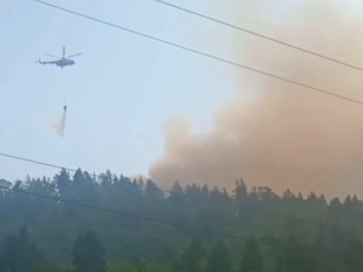Лесной пожар в иволгинском районе локализован и взят под контроль
