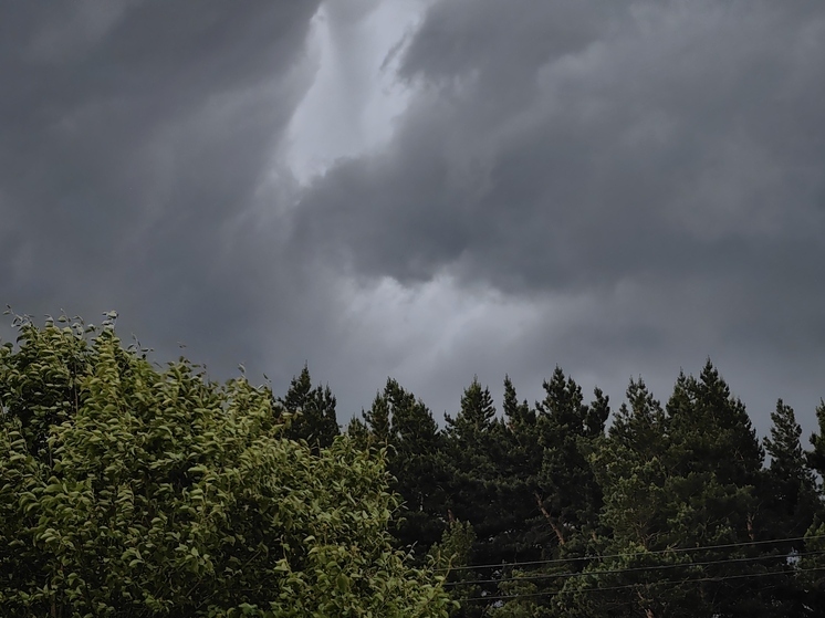 Жителей Хакасии предупредили о грозах и сильном ветре