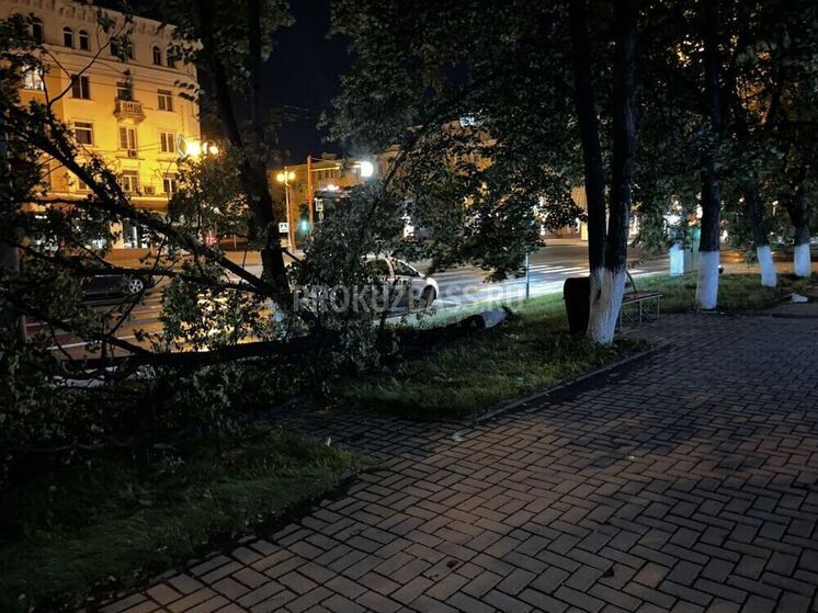 Мощный ураган в Кемерове переломал дерево и разметал мусорные баки