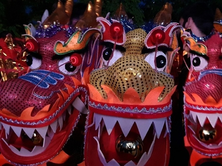 В ЦПКиО Волгограда прошел фестиваль «День Дракона»