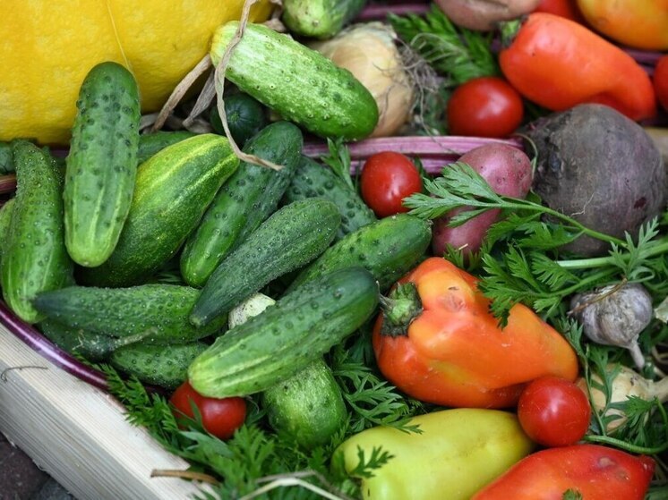 В Челябинской области вырос объем экспорта сельхозпродукции