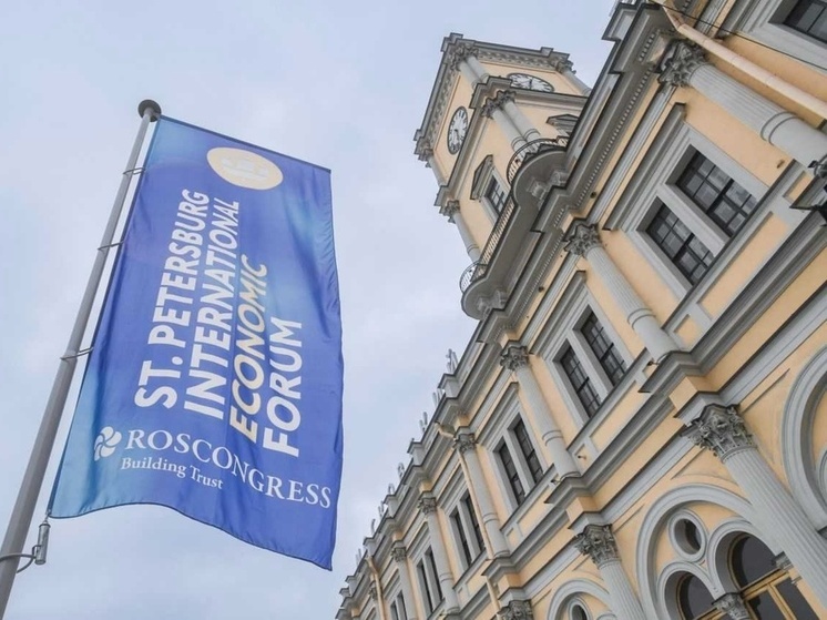 Кирилл Меньшов на ПМЭФ: Быстрое развитие ИИ-технологий рождает спрос на данные и кадры