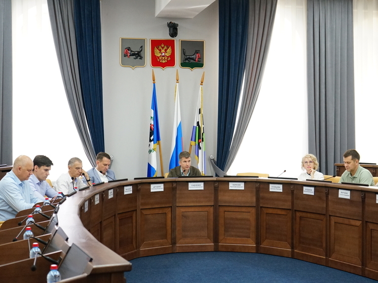На комиссии думы Иркутска по градостроительству рассмотрели 12 вопросов