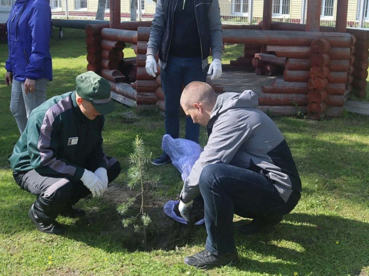 В Талагах создали Сад Памяти