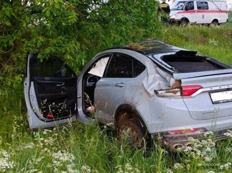 Geely нашли в кювете в районе жуковского села Троицкое