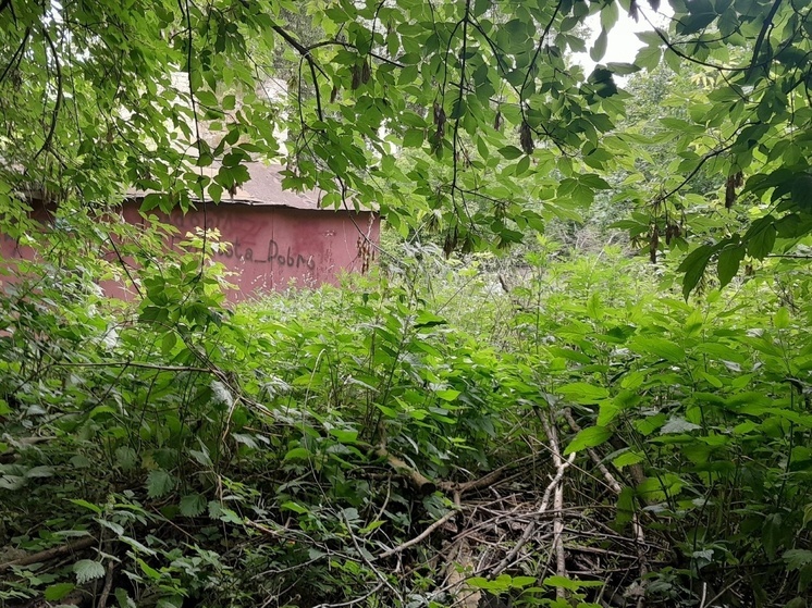 В Калуге активисты нашли место для нового сквера