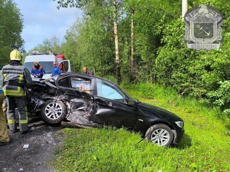 Водитель на «Мазде» врезался в дерево и погиб в Приозерском районе
