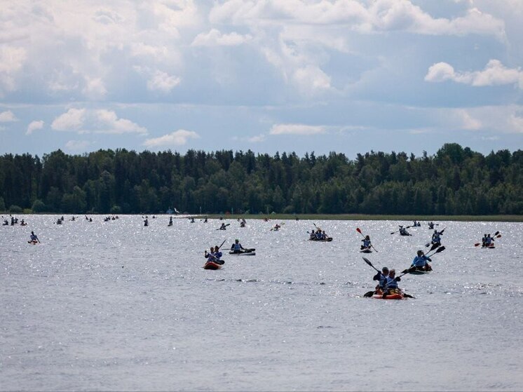 Серпуховские команды приняли участие в мультигонке Red Fox Adventure Race 2025