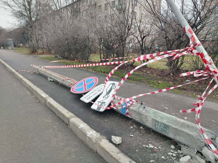 Водитель «Рено» слетел в кювет под Краснознаменском