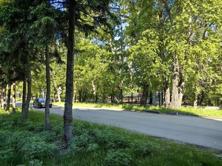 Сильная жара отказалась отступать от Хакасии