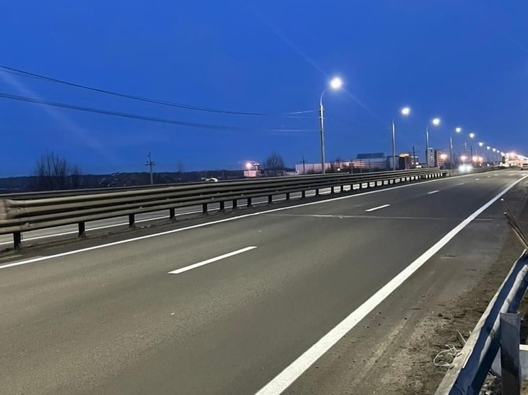 Для ремонта моста возле Экспоцентра в Новосибирске ищут подрядчика