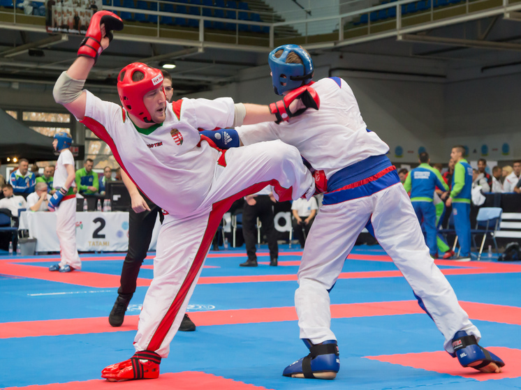 Президент Международной федерации кикбоксинга (WKF) Фридрих Эксенберг обвинил власти Молдавии в нарушении основ спорта. Об этом он написал в письме, адресованном Федерации кикбоксинга России.