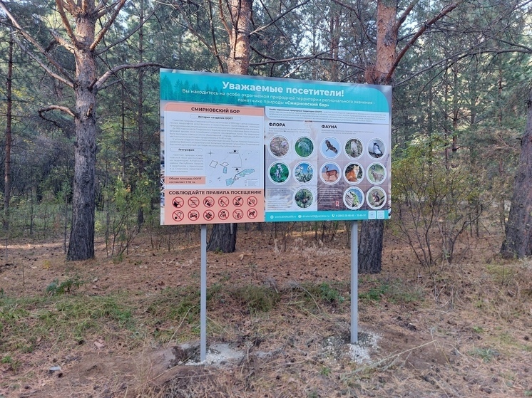 Смирновский бор в Хакасии сделали комфортнее для туристов