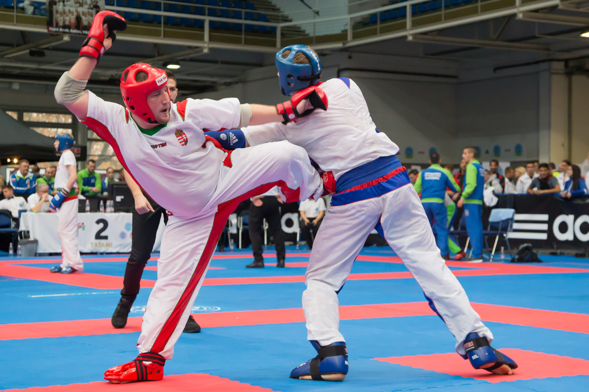 Президент Международной федерации кикбоксинга (WKF) Фридрих Эксенберг обвинил власти Молдавии в нарушении основ спорта.