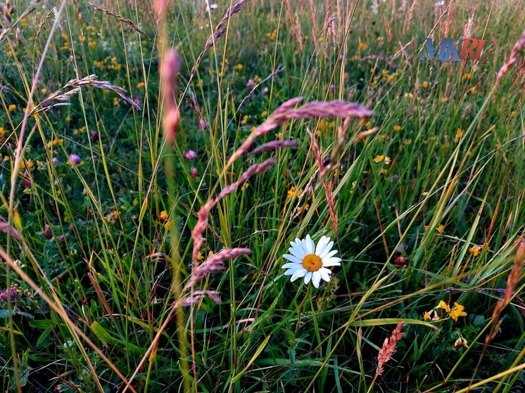 Калужские синоптики пообещали в начале рабочей недели дожди