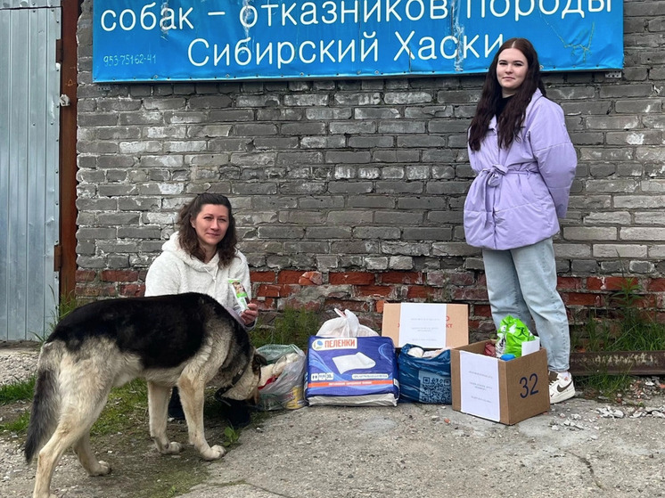 Ковдорчане собрали помощь для приютов в рамках акции «Помоги другу меньшему»