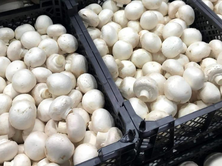 Калужская область отправила на экспорт более тонны шампиньонов