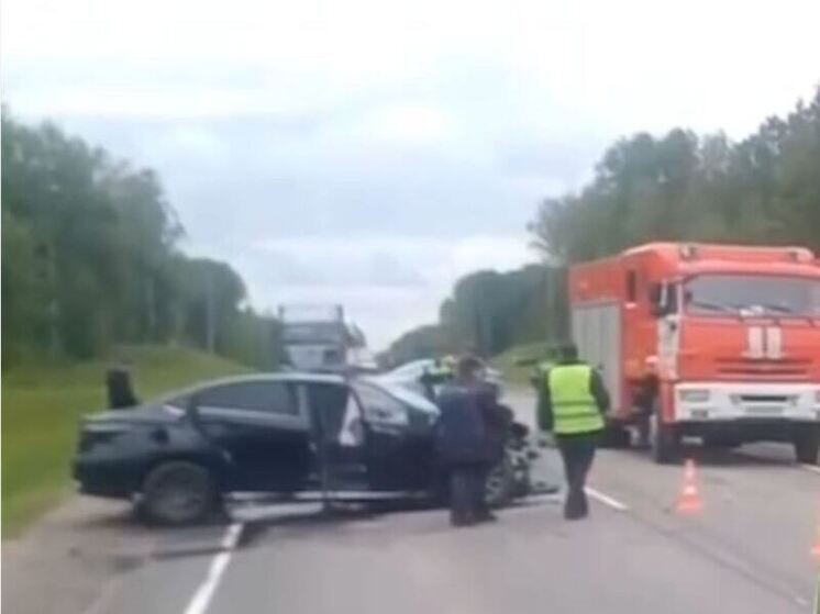 На трассе «Вологда — Тихвин» в дорожной аварии погибли два человека