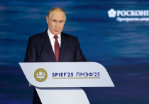 На прошедшем Петербургском международном экономическом форуме (ПМЭФ) главным событием стало традиционное участие президента России Владимира Путина в пленарном заседании