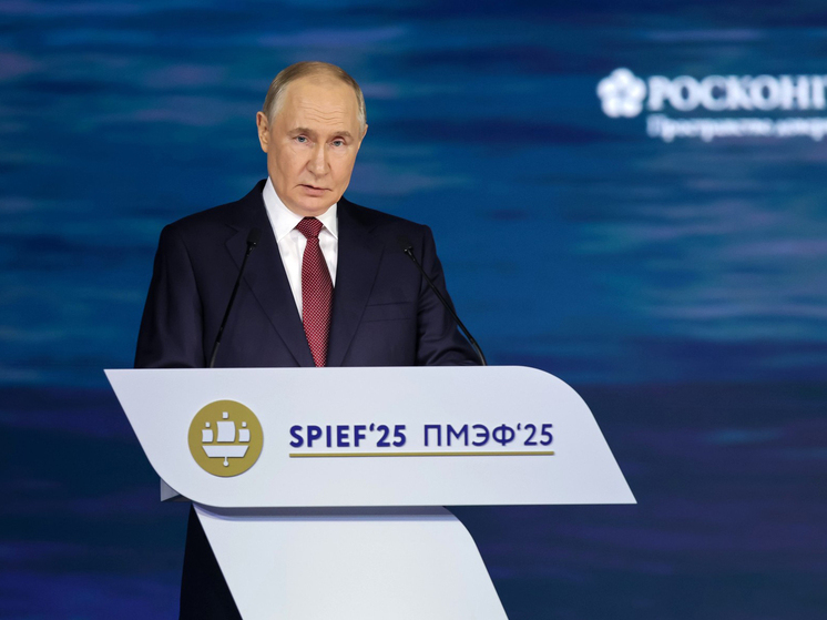 No recente Fórum Económico Internacional de São Petersburgo (SPIEF), o evento principal foi a tradicional participação do Presidente russo Vladimir Putin na sessão plenária