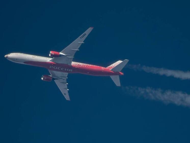 В волгоградском небе сфотографировали авиалайнер с леопардом на фюзеляже