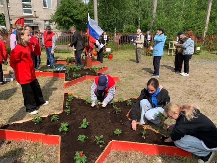 «Сад Памяти» в архангельской школе пополнился новыми саженцами в честь героев