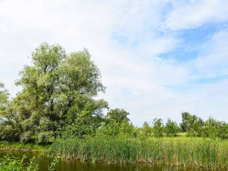 Народные приметы: что не стоит делать 23 июня, в Тимофеев день