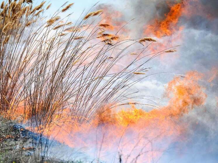 В одном районе Волгоградской области объявили чрезвычайную пожароопасность