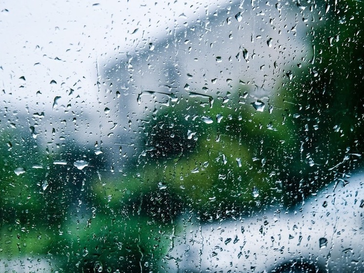 Волгоградцев 23 июня ожидает ветреная и дождливая погода