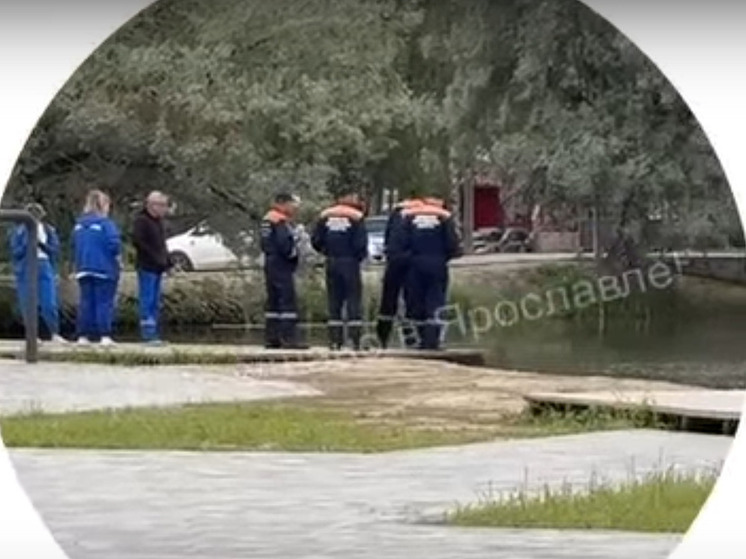 В Ярославле в пруду утонул лысый пьющий мужчина