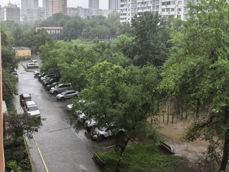 Магнитные бури в Хабаровске на неделю с 23 по 29 июня 2025 года