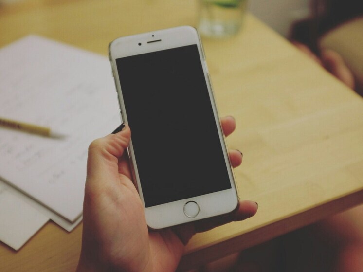 Izvestia: Russia Wants to Ban Reflashing Mobile Devices